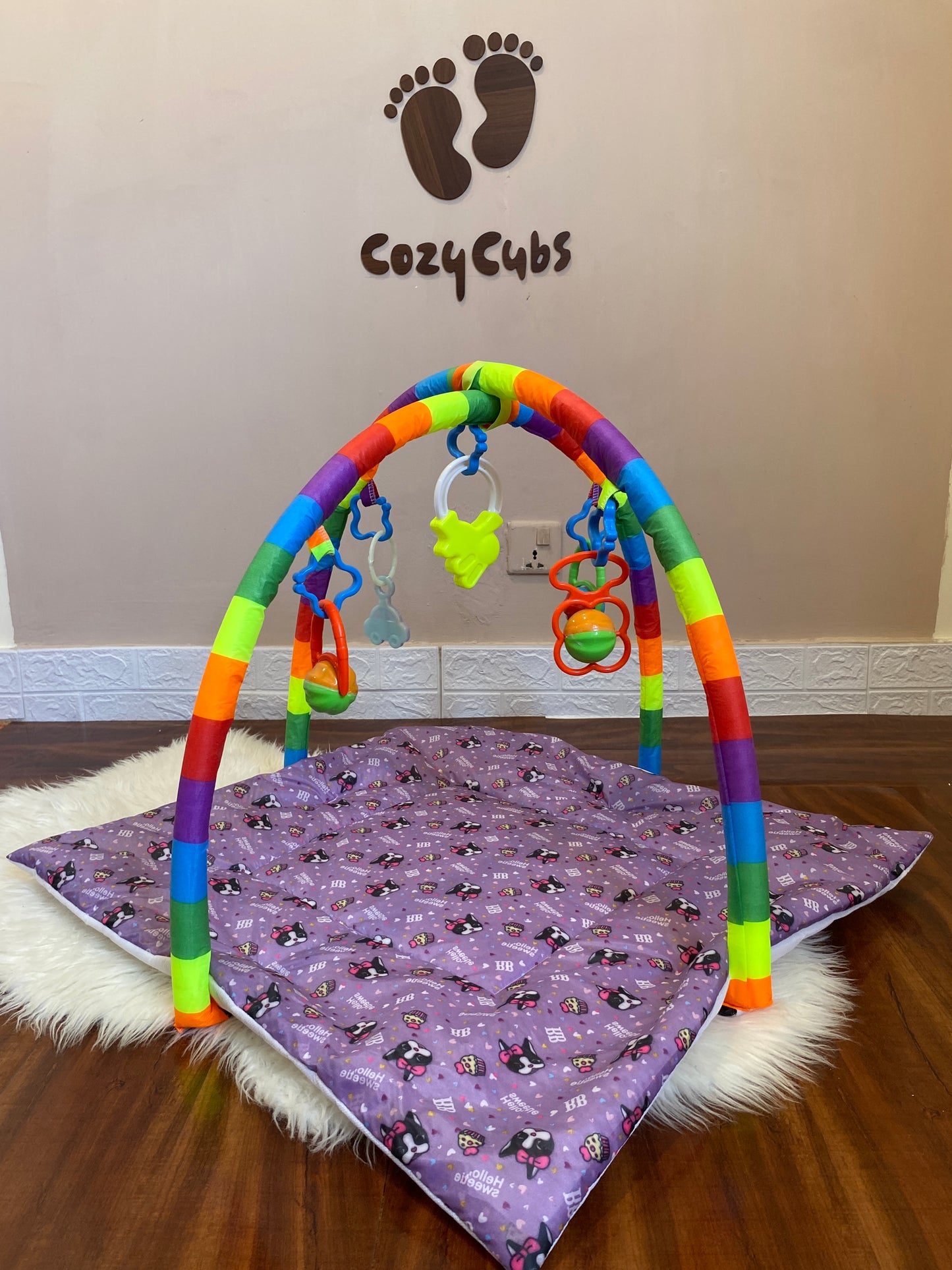 Baby Play Gym