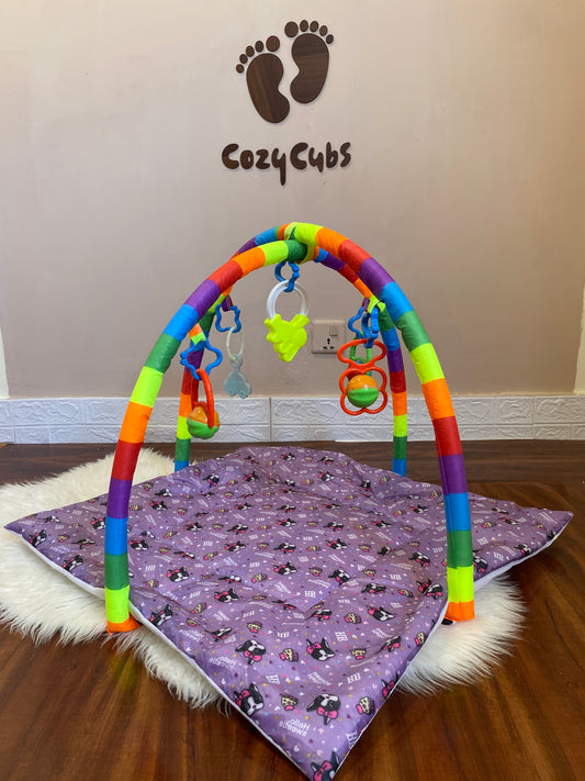 Baby Play Gym