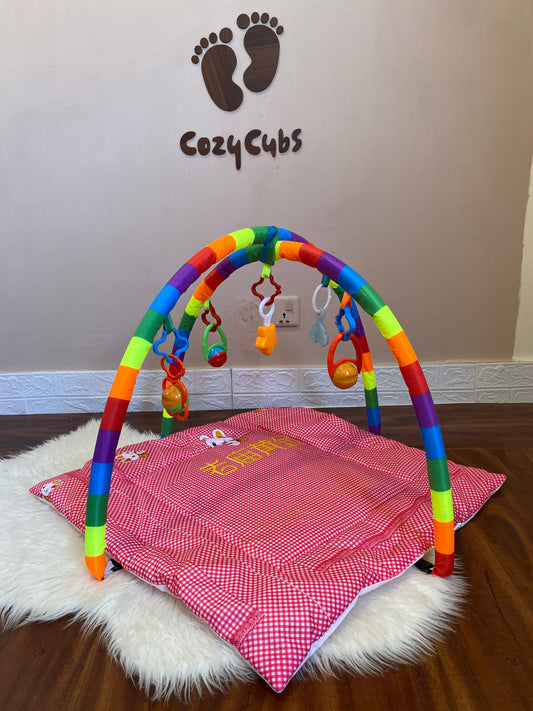 Baby Play Gym
